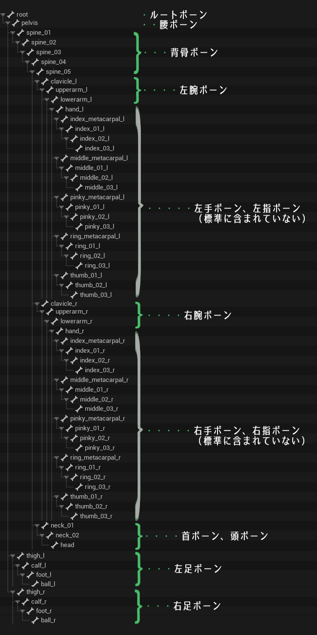 UE5標準ボーン構造